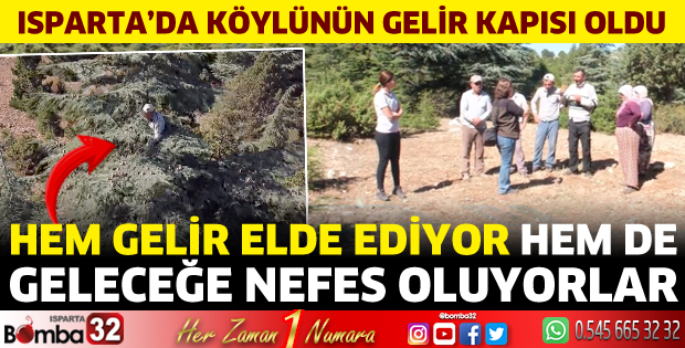 Isparta'da köylünün gelir kapısı oldu