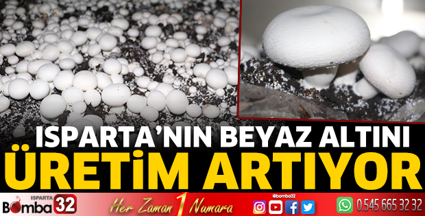 Isparta'da mantar üretimi artıyor