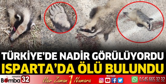 Isparta'da ölü bulundu