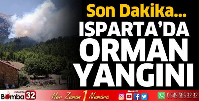 Isparta'da orman yangını 