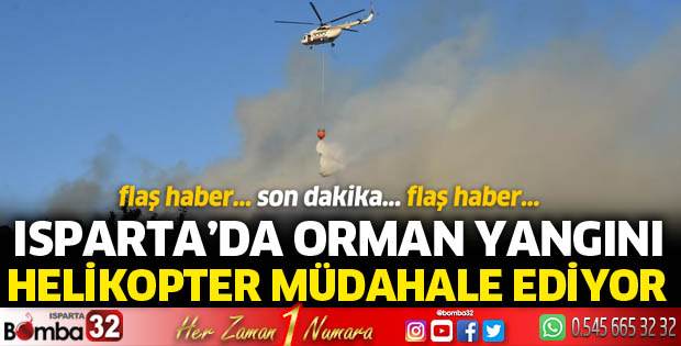 Isparta'da orman yangını