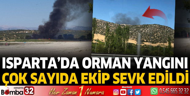 Isparta'da orman yangını