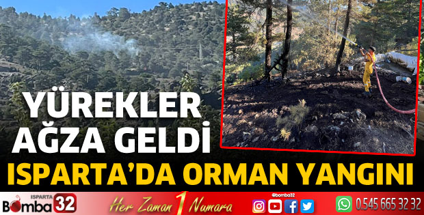 Isparta'da orman yangını