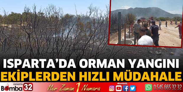 Isparta'da orman yangını