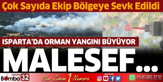 Isparta'da orman yangınında son durum
