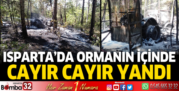 Isparta'da ormanın içinde cayır cayır yandı