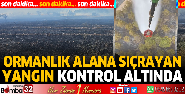 Isparta'da ormanlık alana sıçrayan yangın kontrol altında