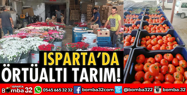 ISPARTA'DA ÖRTÜALTI TARIM