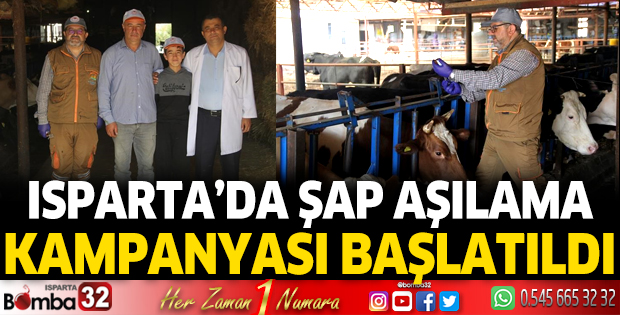 Isparta'da Şap Aşılama Kampanyası başlatıldı
