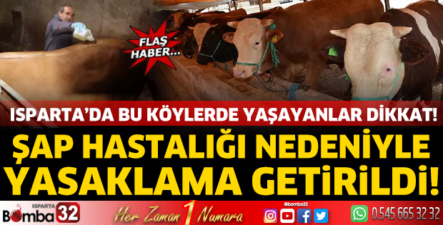 Isparta'da şap hastalığı nedeniyle yasaklama getirildi! 