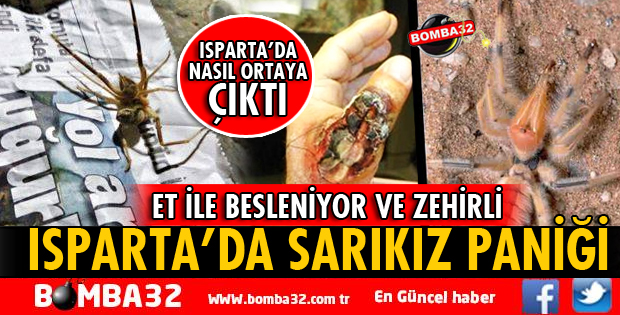 ISPARTA'DA SARIKIZ PANİĞİ!