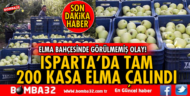 ISPARTA'DA TAM 200 KASA ELMA BAHÇEDEN ÇALINDI