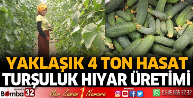 Isparta'da turşuluk hıyar yetiştiriliyor