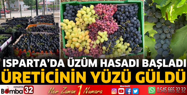 Isparta'da üzüm hasadı başladı