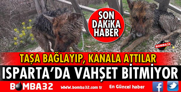 ISPARTA'DA VAHŞET BİTMİYOR!