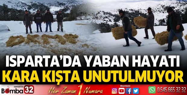 Isparta'da yaban hayatı kara kışta unutulmuyor