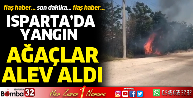 Isparta'da yangın 