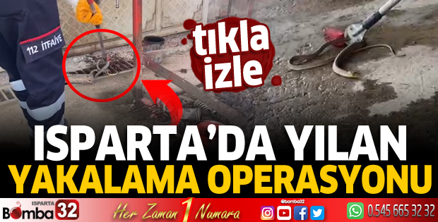 Isparta'da yılan yakalama operasyonu