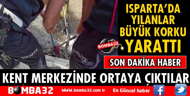 ISPARTA'DA YILANLAR BÜYÜK PANİK YARATTI