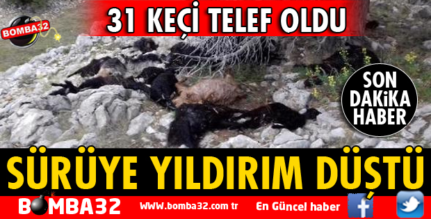Isparta'da yıldırım düştü 31 keçi telef oldu