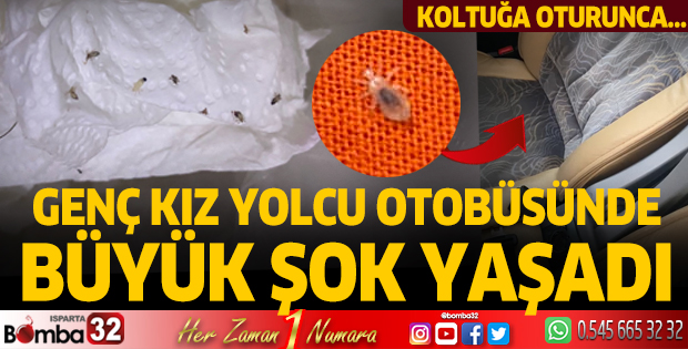 Isparta'da yolcu otobüsünde haşere paniği