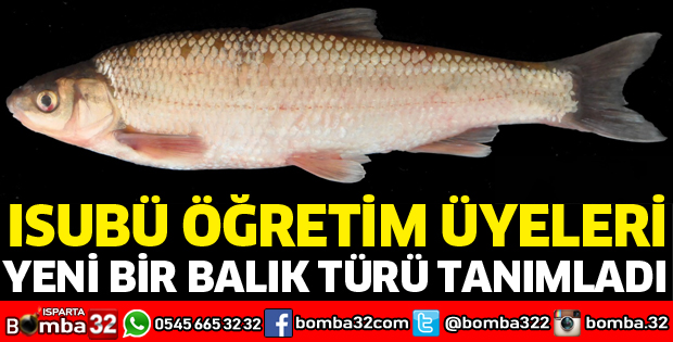 ISUBÜ Öğretim Üyeleri tarafından yeni bir balık türü tanımlandı