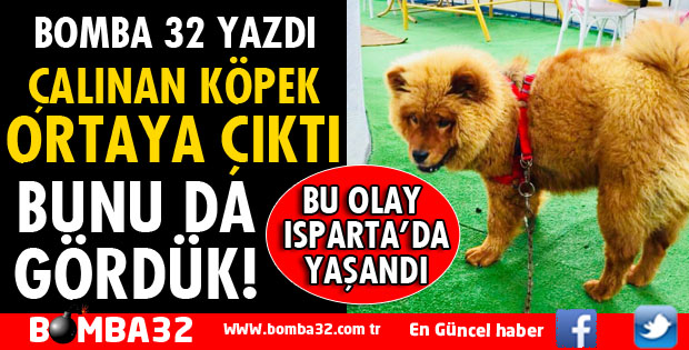 İŞYERİNDEN ÇALINAN KÖPEK BULUNDU