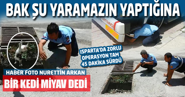 İtfaiye Erlerinin Zorlu Kedi Kurtarma Operasyonu