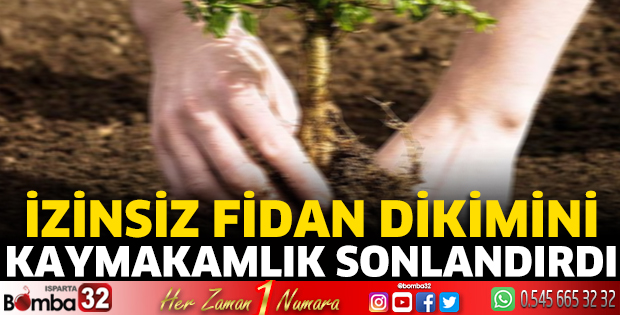 İzinsiz fidan dikimini kaymakamlık sonlandırdı