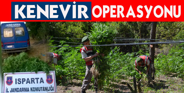 Jandarmadan Kenevir Operasyonu