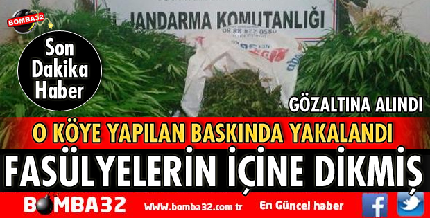 JANDARMADAN UYUŞTURUCU OPERASYONU