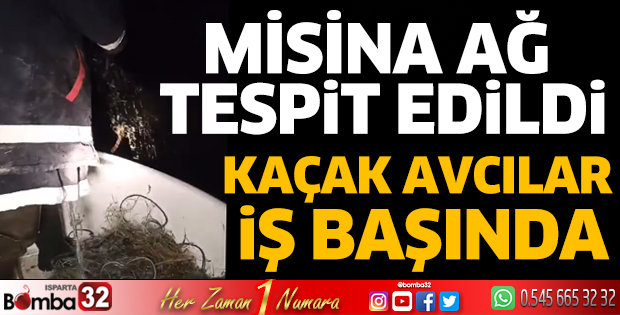 Kaçak avcılar iş başında