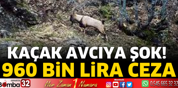 Kaçak avcıya 960 bin TL ceza