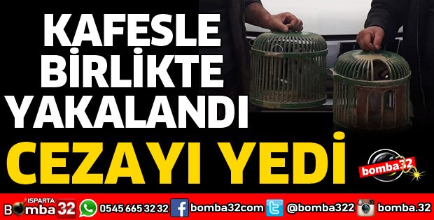 KAÇAK AVCIYA CEZA