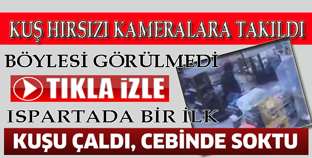 KAFESTEN ÇALDIĞI KUŞU CEBİNE SOKUP EVE GÖTÜRDÜ