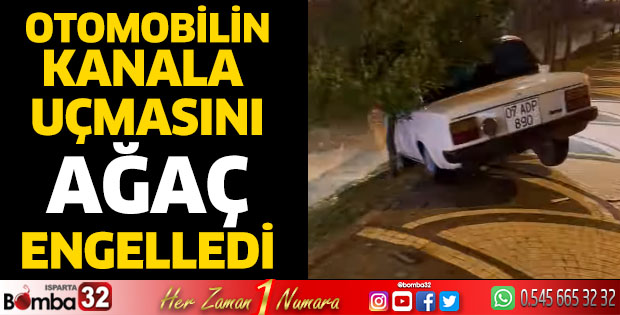 Kanala uçacakken ağaç kurtardı