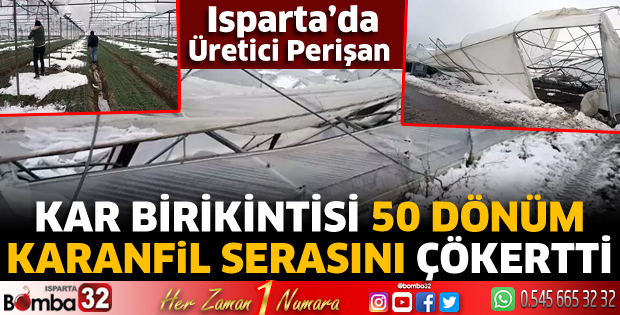 Kar birikintisi 50 dönüm karanfil serasını çökertti