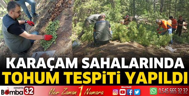 Karaçam sahalarında tohum tespiti yapıldı