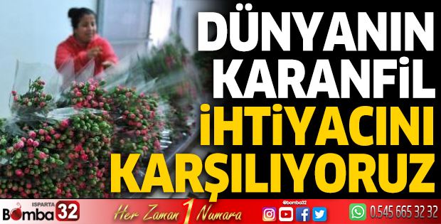 Karanfil ihiyacı karşılanıyor ama kazanamıyoruz