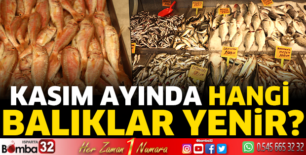 Kasım ayı hangi balıklar yenir?