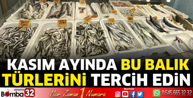 Kasım ayında bu balık türlerini tercih edin