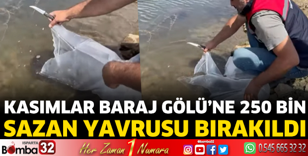 Kasımlar Baraj Gölü’ne 250 Bin Sazan Yavrusu Bırakıldı
