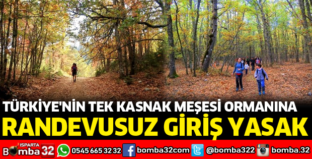 KASNAK MEŞESİ ORMANINA RANDEVUSUZ GİRİŞ YASAK