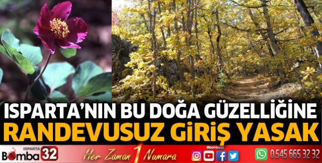 Kasnak Meşesi'ne randevusuz giriş yasak