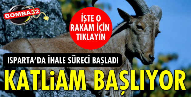 KATLİAM İHALESİ BAŞLIYOR!