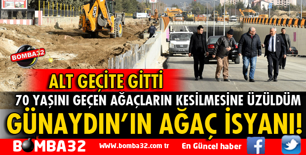 KAYBOLAN YEŞİLLİĞİ TEKRAR KAZANDIRMAK İSTİYORUM
