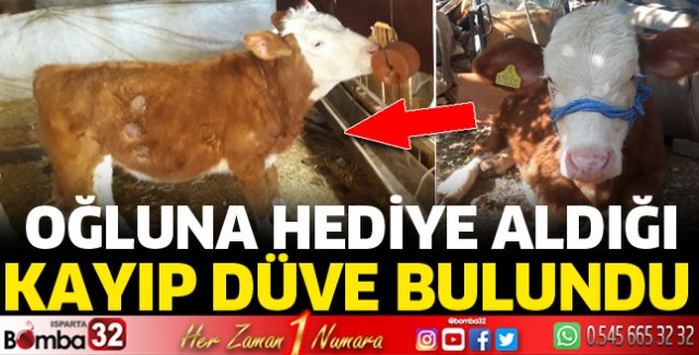 Kayıp düve bulundu