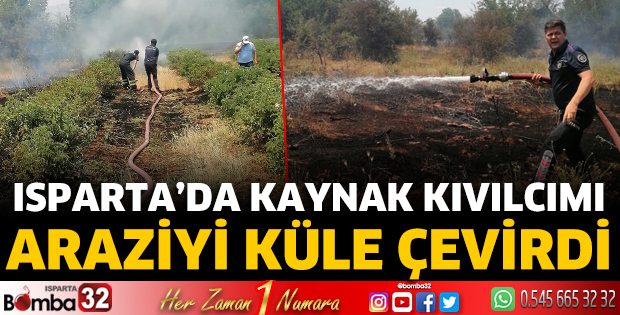 Kaynak kıvılcımı 20 dönümlük alanı küle çevirdi