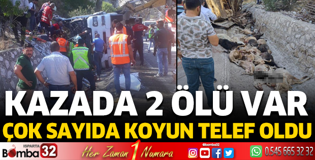 Kazada 2 ölü var, çok sayıda koyun telef oldu 