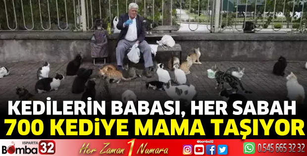 'Kedilerin babası', her sabah 700 kediye mama taşıyor